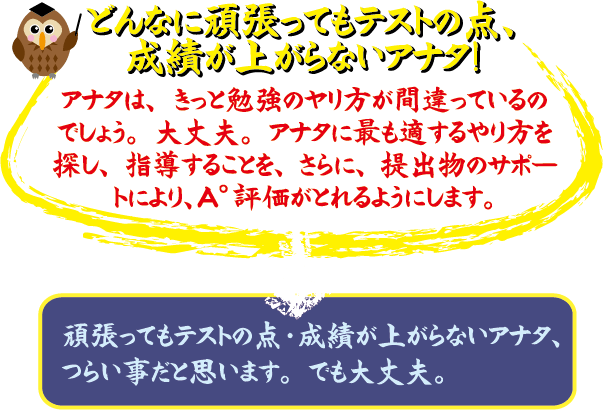 どんなに頑張ってもテストの点、成績が上がらないアナタ！ アナタは、もっと効率のカリキュラムが間違っているのでしょう。大丈夫。アナタに最も適するやり方を探し、指導すること、さらに、提出物のサポートにより、A*評にひかれるようにします。