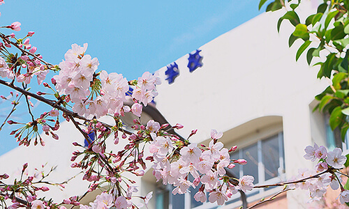 学習指導のプロと一緒だったら君の力はもっと伸びるのイメージ