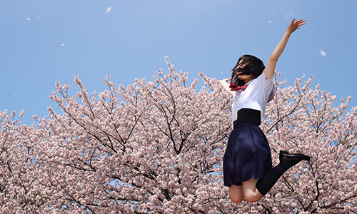 君の夢を教えてください！のイメージ